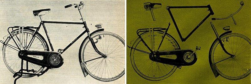 Batavus Portable